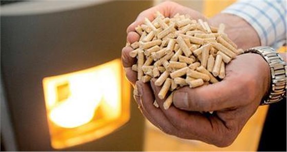 大力士 生物質(zhì)燃料 大力士 生物質(zhì)燃料
