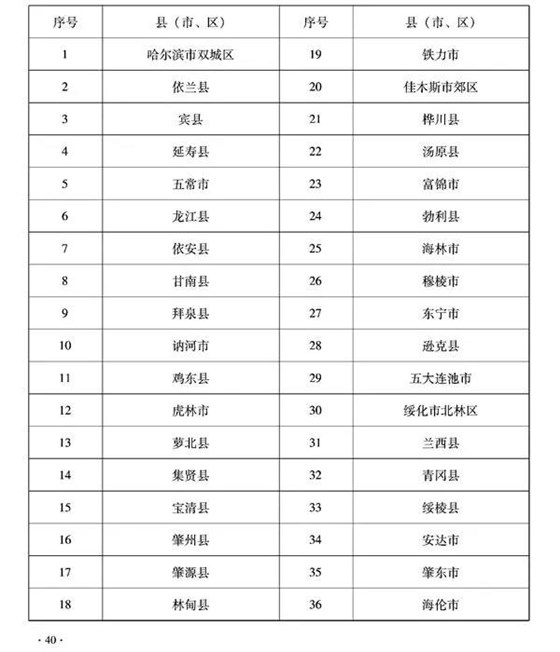大力士 生物質(zhì)燃燒器