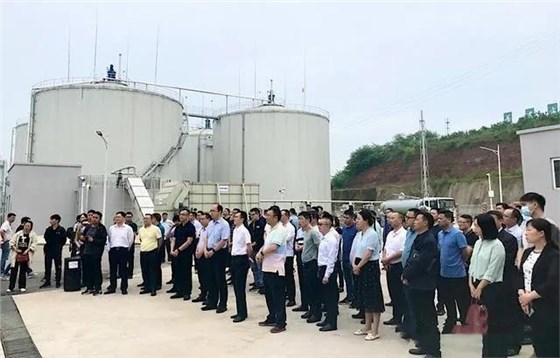 大力士 生物質燃燒器