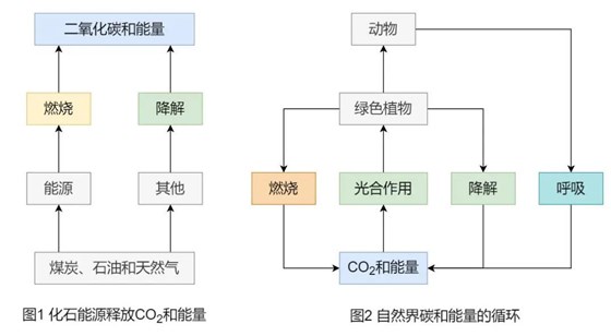 大力士生物質(zhì)燃燒機