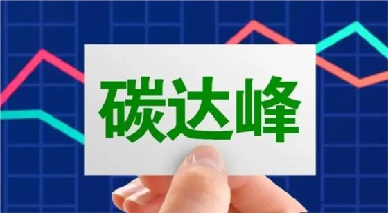 大力士生物質(zhì)燃燒機
