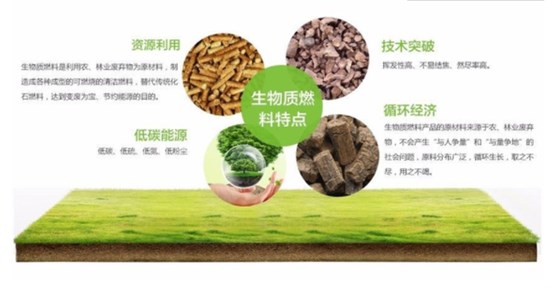 大力士生物質(zhì)燃燒機(jī)