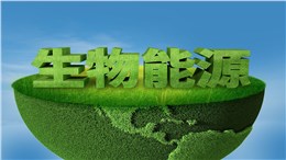 華電生物質(zhì)能分公司：揚(yáng)帆改革浪潮，提速綠色轉(zhuǎn)型1