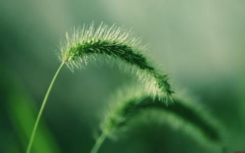 秸稈綜合用，暖屋更暖心 北方農(nóng)村清潔取暖添起“三把火”
