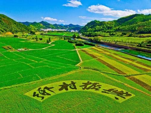 【技術(shù)】農(nóng)作物秸稈再利用影響因素分析及政策建議