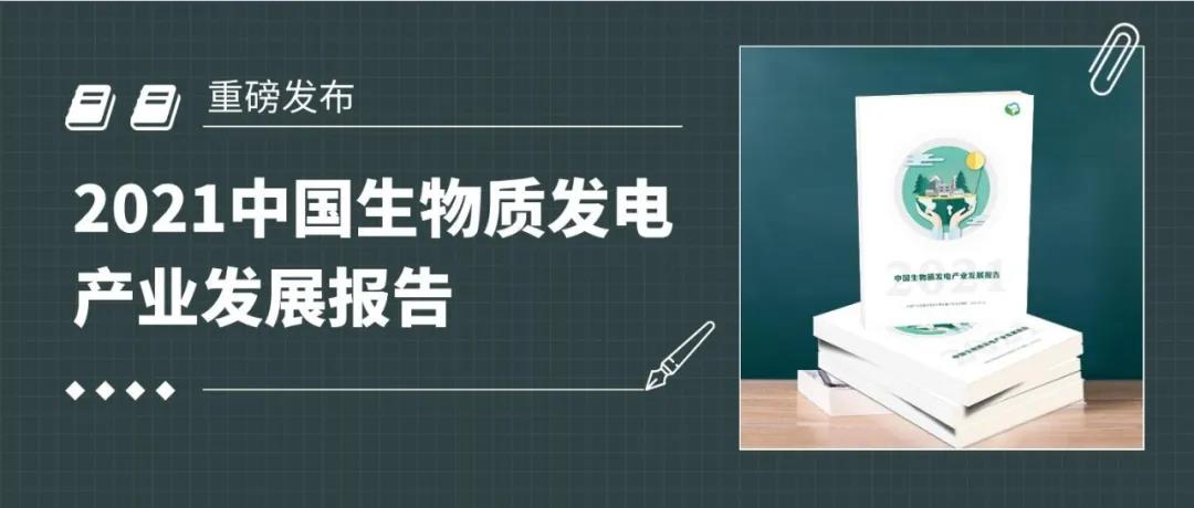 大力士 生物質(zhì)燃燒器