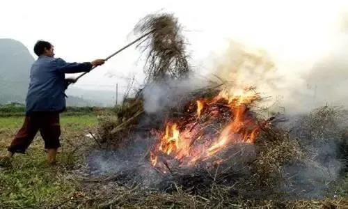 大力士 生物質(zhì)燃燒機(jī)