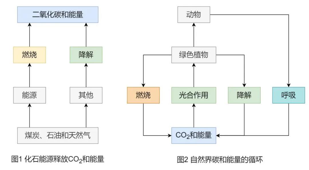 漲知識了！為什么說生物質(zhì)能是“零碳”能源