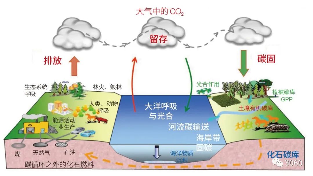 漲知識(shí)！什么是低碳、零碳、負(fù)碳技術(shù)（二）