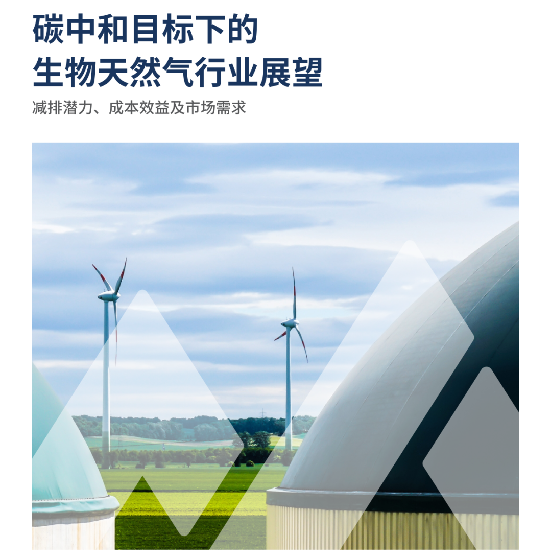 因地制宜推進(jìn)生物質(zhì)能產(chǎn)業(yè)集群發(fā)展（三）