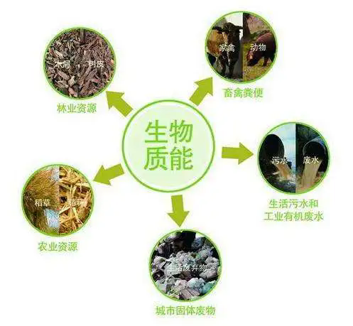 大力士生物質(zhì)燃燒機(jī)